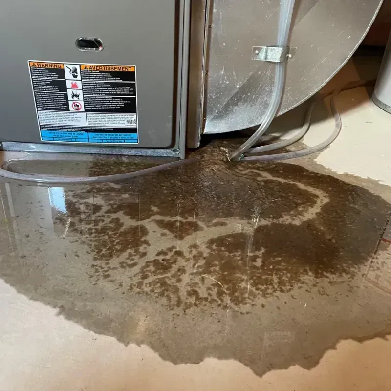 Appliance Leak Cleanup in Willis, TX